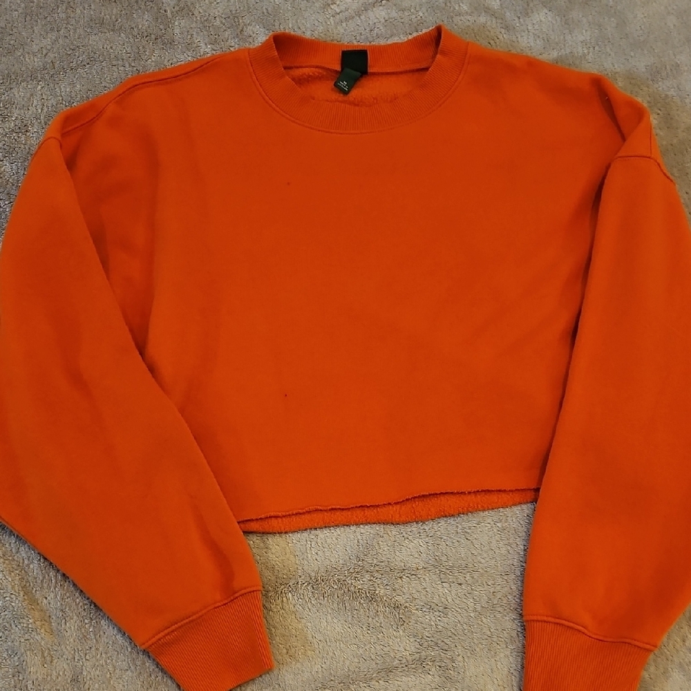 Wild Fable Orange Crop Top